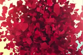 乡村婚礼就是 不一样，礼仪还是挺多  满满的喜庆宗亲鼎力的 帮忙视频封面