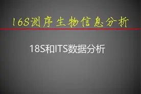 10-18S和ITS数据分析视频封面