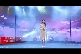 陶钰玉-一辈子爱不够视频封面