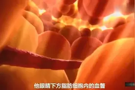科普微观世界中伤口愈合全过程视频封面