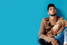 美国冠军歌手ZAYN泽恩马利克经典代表作《Entertainer》 (唱词)视频封面