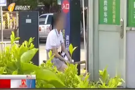 四个大椰子“从天而降”正好砸中女孩的头部！视频封面
