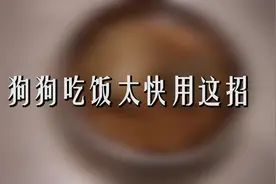 狗狗吃饭太快，用这招能管用吗视频封面