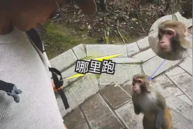张家界武陵源，全国最挣钱的景区，门票贵但游客络绎不绝视频封面
