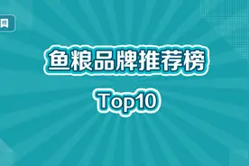 鱼粮十大品牌榜视频封面