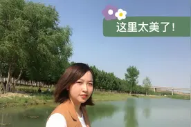 高陵小众免费景点：泾渭湿地观光园，人少、远离喧嚣，亲近大自然视频封面