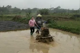 农村八嫂学开微耕机耙田，这样的女耙手，能打几分视频封面