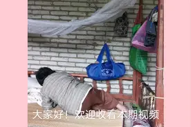 肌肉萎缩侄子开瓶奶给盲眼婶婶吃，弄出一堆亮点视频封面