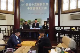 新天元辜梓豪的围棋之路：“辜排长”的重锤功是如何练成的？图片
