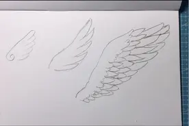 每天绘画小知识，3种翅膀的画法（全民求知季）视频封面