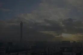 岭南养生谷官宣！视频封面