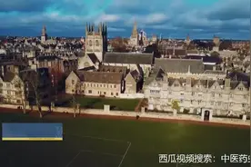 中医药走向世界的坎坷路，豨莶如何在世界站住脚的，感叹中药伟大视频封面