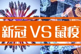 新冠VS黑死病，历史总是惊人的相似视频封面