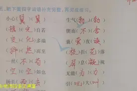四年级下册词语总复习，四字词语补充完整再完成练习，请你试一试视频封面
