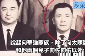 揭秘向华强的12个兄弟，除了向华胜其他个个都不简单
