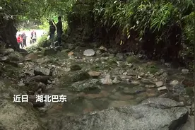 神奇！湖北巴东现敲石涌泉奇观视频封面