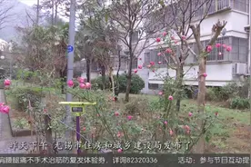 重磅！无锡安置房经适房土地出让金新标准公布视频封面