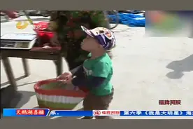 俊豪体验生活，一块肉花掉所有，人小聪明，跳个舞收获满满视频封面
