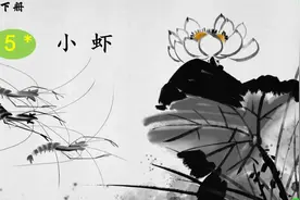 《小虾》，小虾披一身铠甲水中游，弓腰向前找人搏斗视频封面