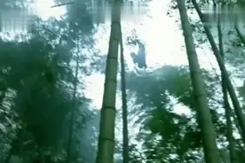 《十面埋伏》局中局套中套，爱情与欲望的交织，剪不断理还乱视频封面