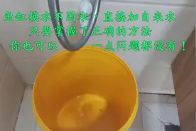鱼缸换水不困水，直接加自来水还不死鱼！掌握了这个方法你也可以视频封面