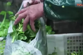 东北大叔教你 老式锅包肉的正宗做法, 干香酥脆, 速收藏!视频封面