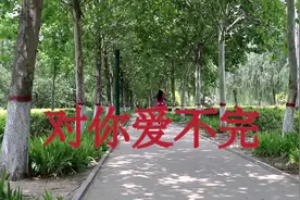 一首经典歌曲《对你爱不完》，节奏欢快鲜明，让人怎么听都不腻视频封面