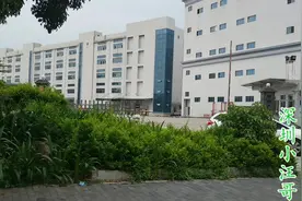 实拍深圳赛尔美电子厂，一家规模很大的电子烟厂，实行军事化管理视频封面