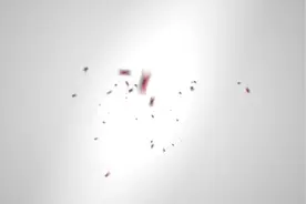 王蓉-人鱼校花视频封面