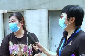 中招报志愿没报上，就跟普通高中“绝缘”了？点进来看解决方法视频封面