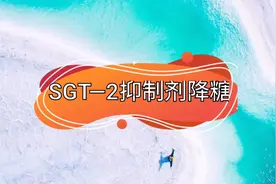 SGT—2抑制剂口服降糖药