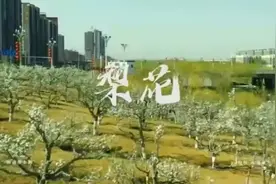 四月份去库尔勒看梨花视频封面