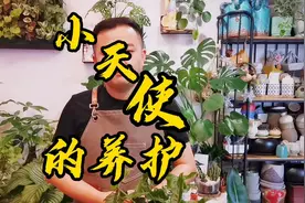 小天使的日常养护其实真的很简单视频封面
