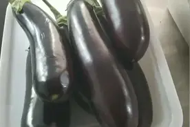 烧烤素菜，烤茄子，烤韭菜，烤金针菇，烤香菇，烤土豆，烤辣椒视频封面