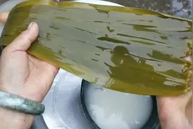 芦苇叶三角粽子的简单包法视频封面