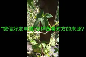 微信好友申请怎样查看对方的来源视频封面