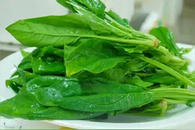 维生素的宝库—菠菜