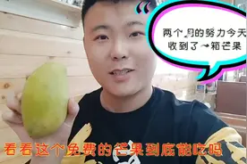 拼多多果园收到成熟果实了，结果有点意外两个月的努力没有白费！