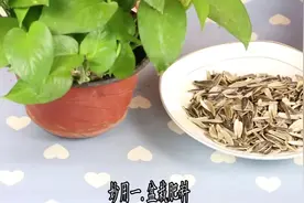 吃剩的瓜子壳千万别扔，扔它就是在扔钱，现在知道也不晚