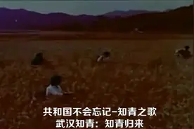 武汉知青之歌-知青归来视频封面