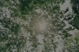 血小板减少症ITP公益片视频封面