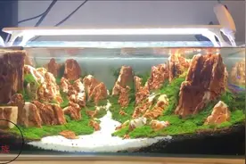 鱼缸造景用青龙石，鸡骨石你用过吗？石头会让鱼缸硬水视频封面