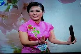河南坠子书大全全集《刘秀传》刘秀借兵没借成视频封面