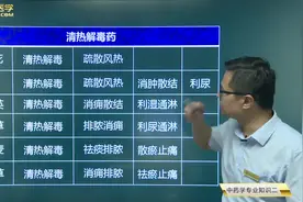 清热药03清热解毒药：鱼腥草、板蓝根、马齿觅、牛黄等30种常见药视频封面