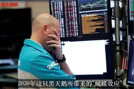 2020年黑天鹅，世界八大变局！中国将成最后赢家？视频封面