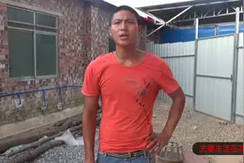 猪猪的圆环病毒发病有那些特征，如何正确判断圆环病毒视频封面