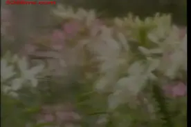 叶倩文&林子祥-乱世桃花视频封面