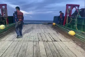 东海单拖渔船起网作业，耐心看完，了解渔民是如何捕捞海鲜的！视频封面