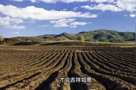 寻龙点穴之五色土#寻龙点穴之五 #寻龙点穴 #墓地风水视频封面