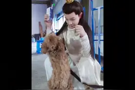 在隔壁仓库发现一只特别粘人的小狗，摸一摸就好了#与君初相识视频封面